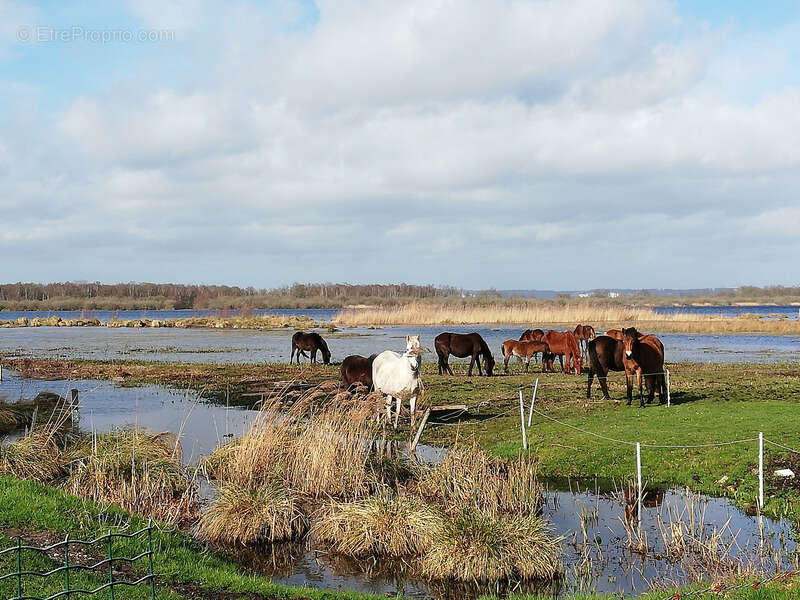 Maison à MARAIS-VERNIER