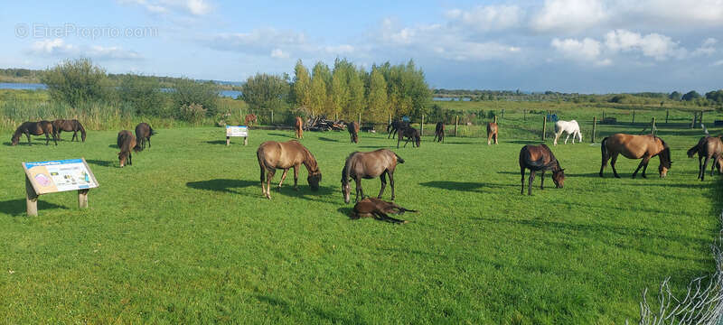 Maison à MARAIS-VERNIER