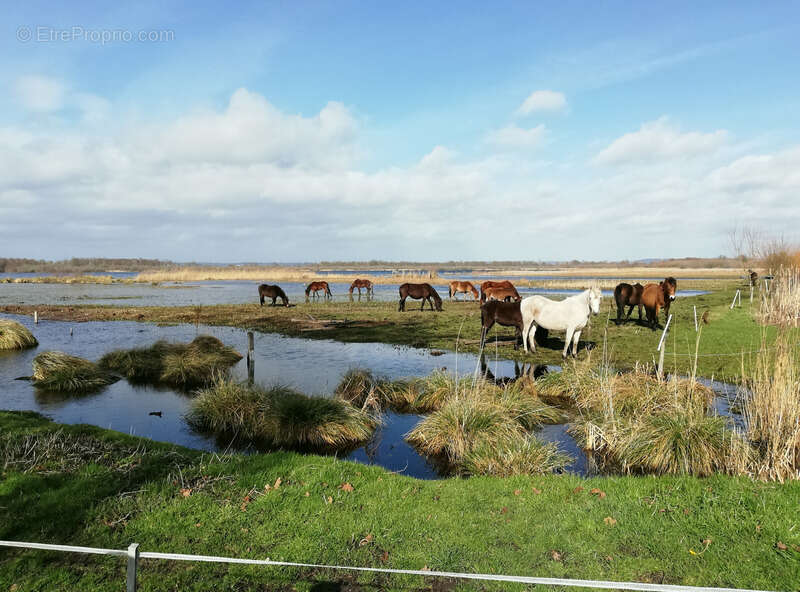 Maison à MARAIS-VERNIER