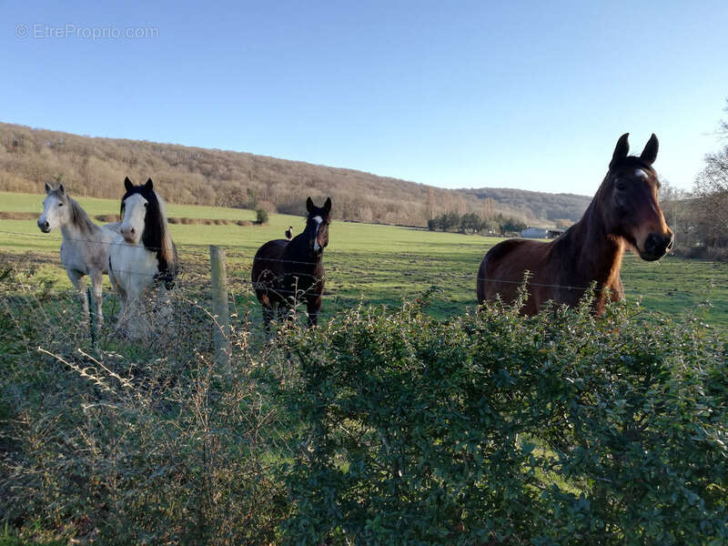 Maison à MARAIS-VERNIER