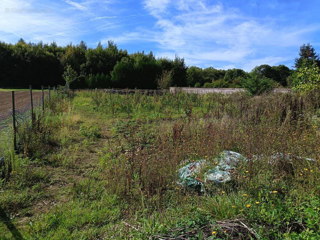 Terrain à SUZOY