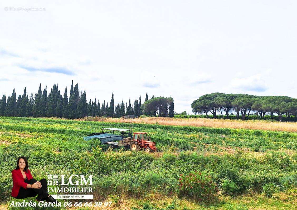 Maison à SAINT-GILLES