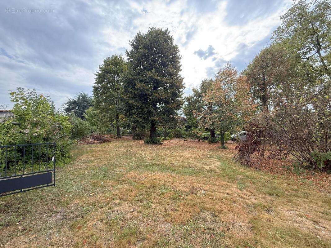 Terrain à LA TOUR-DE-SALVAGNY