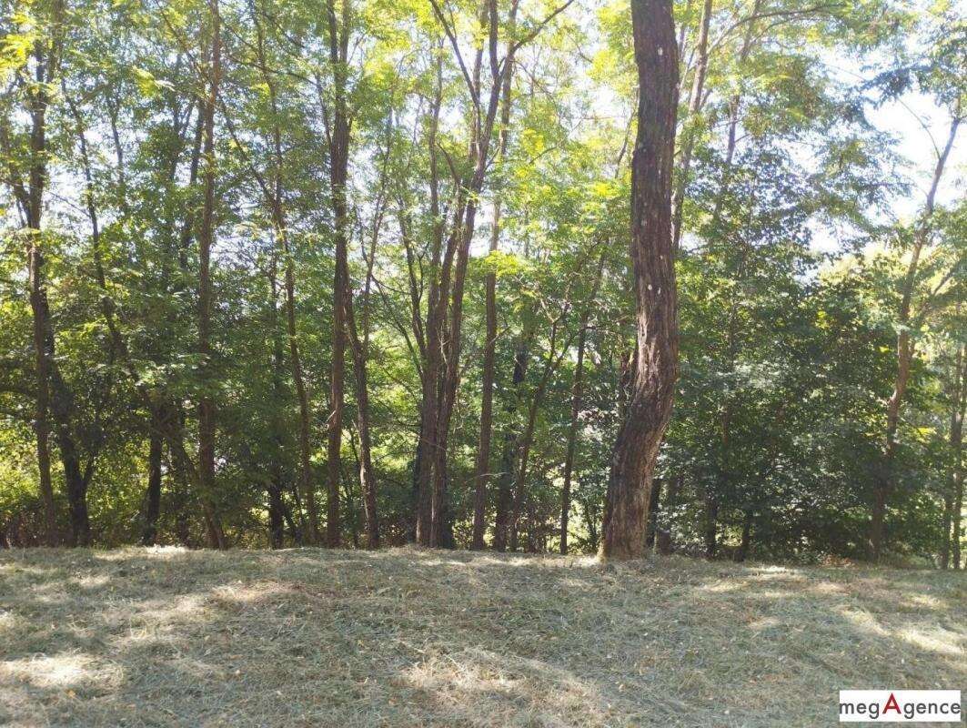 Maison à BARRE-DES-CEVENNES