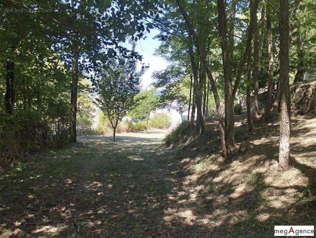 Maison à BARRE-DES-CEVENNES