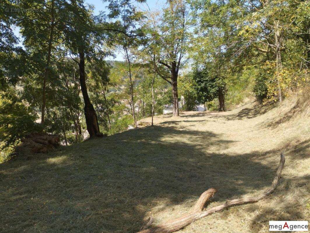 Maison à BARRE-DES-CEVENNES