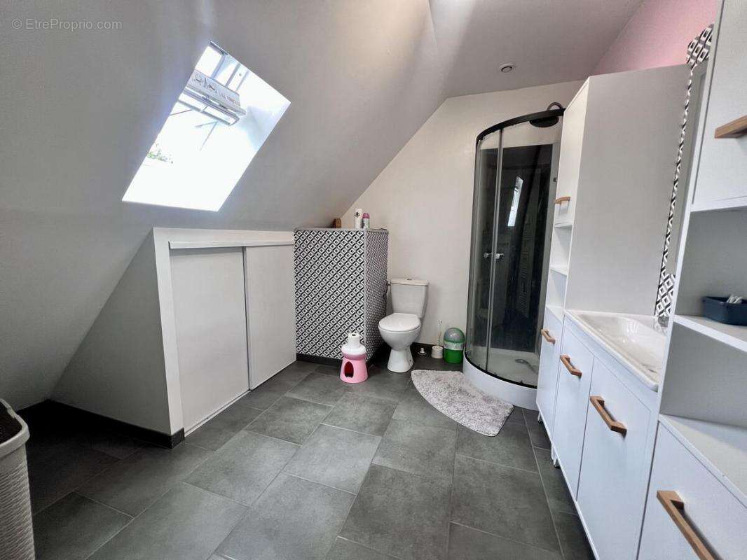 Maison à BRAY-EN-VAL