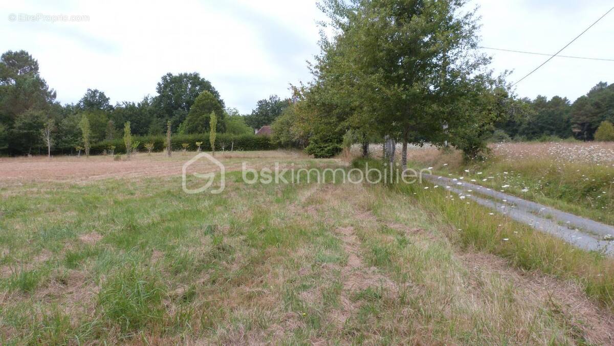 Terrain à SAINT-JEAN-D&#039;ATAUX