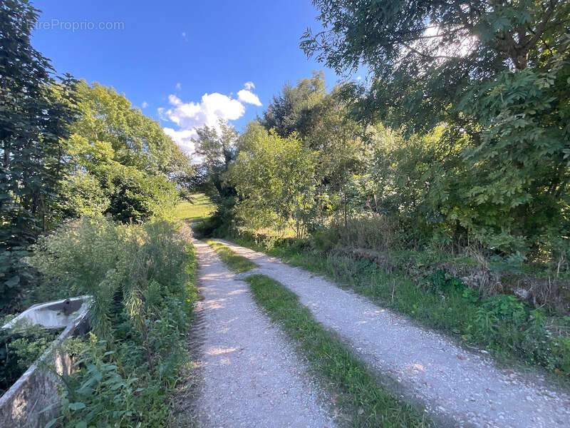 Maison à AIGUEFONDE