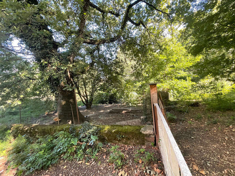 Maison à AIGUEFONDE