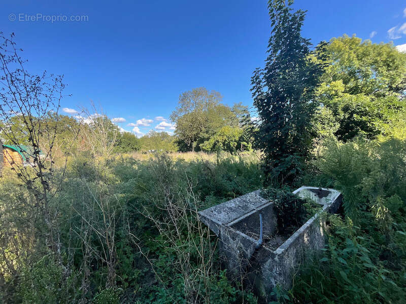 Maison à AIGUEFONDE