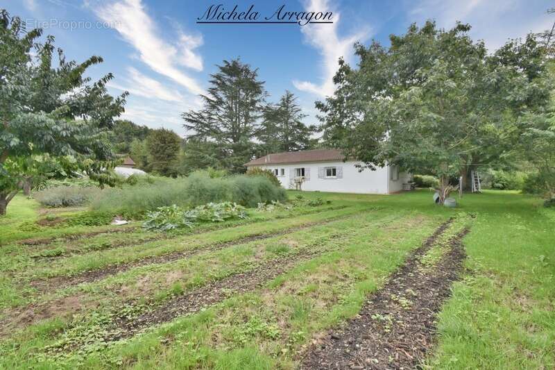 Maison à SAINTE-LIVRADE-SUR-LOT