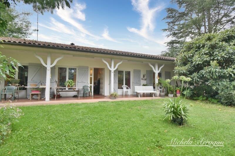 Maison à SAINTE-LIVRADE-SUR-LOT