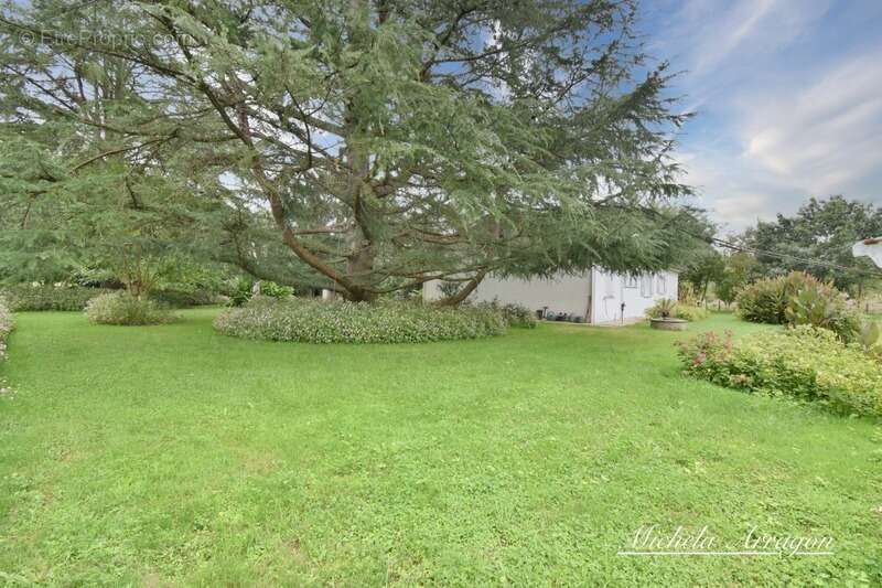 Maison à SAINTE-LIVRADE-SUR-LOT