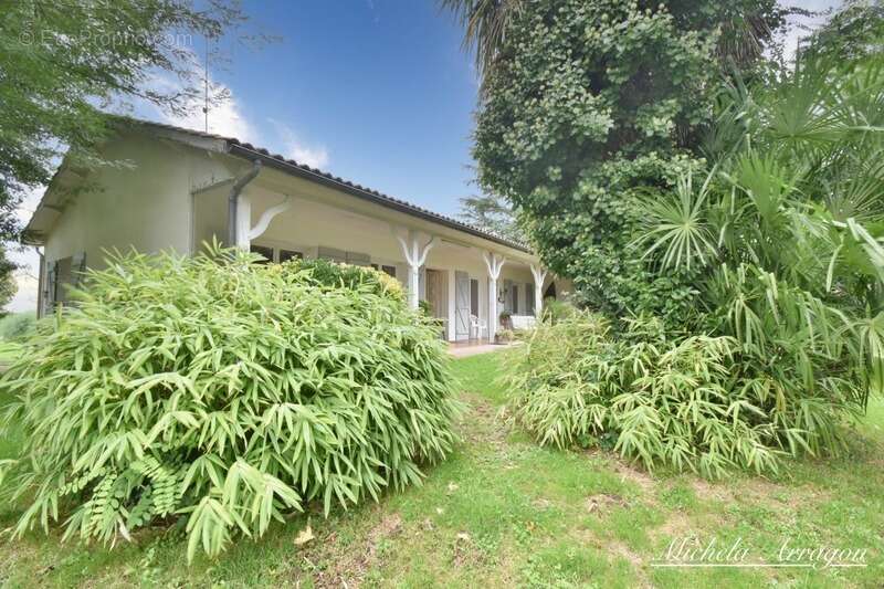 Maison à SAINTE-LIVRADE-SUR-LOT