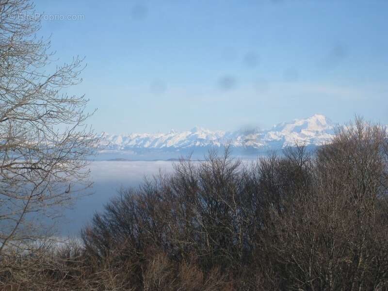 Appartement à ORDONNAZ