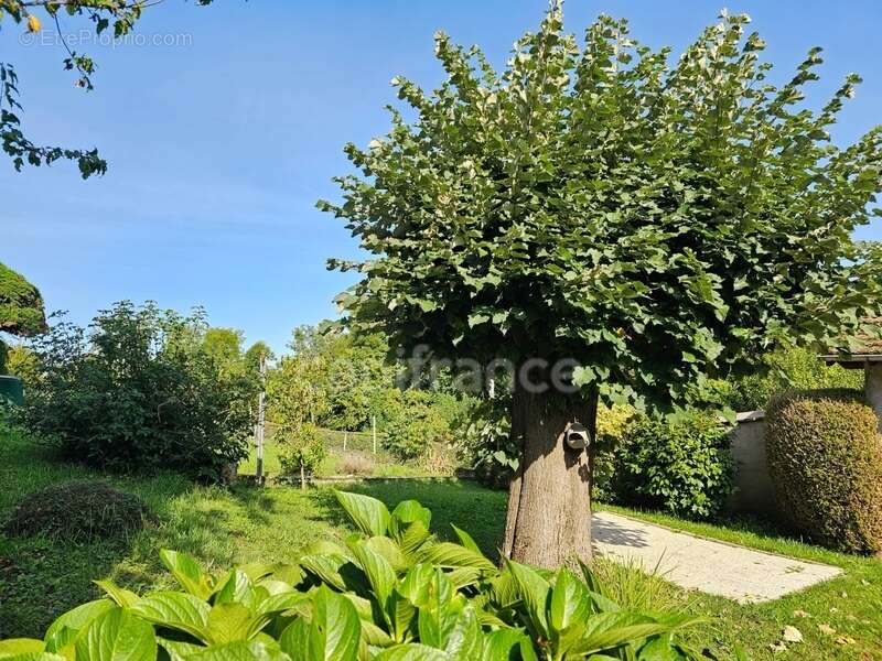 Maison à PANISSIERES