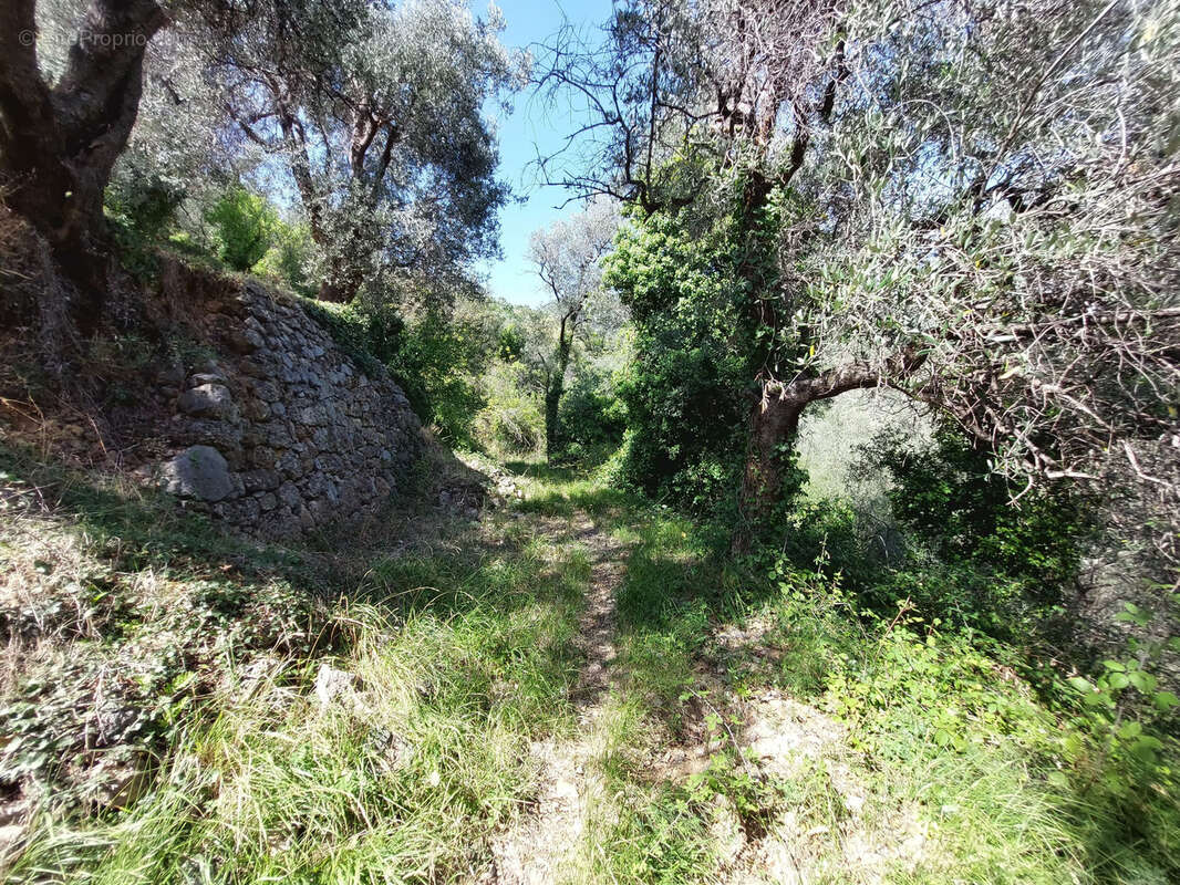 Maison à BREIL-SUR-ROYA