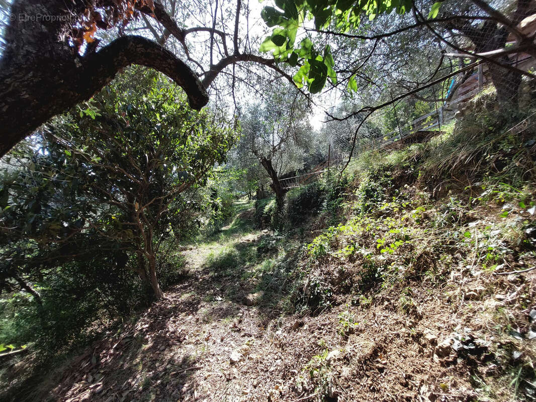 Maison à BREIL-SUR-ROYA