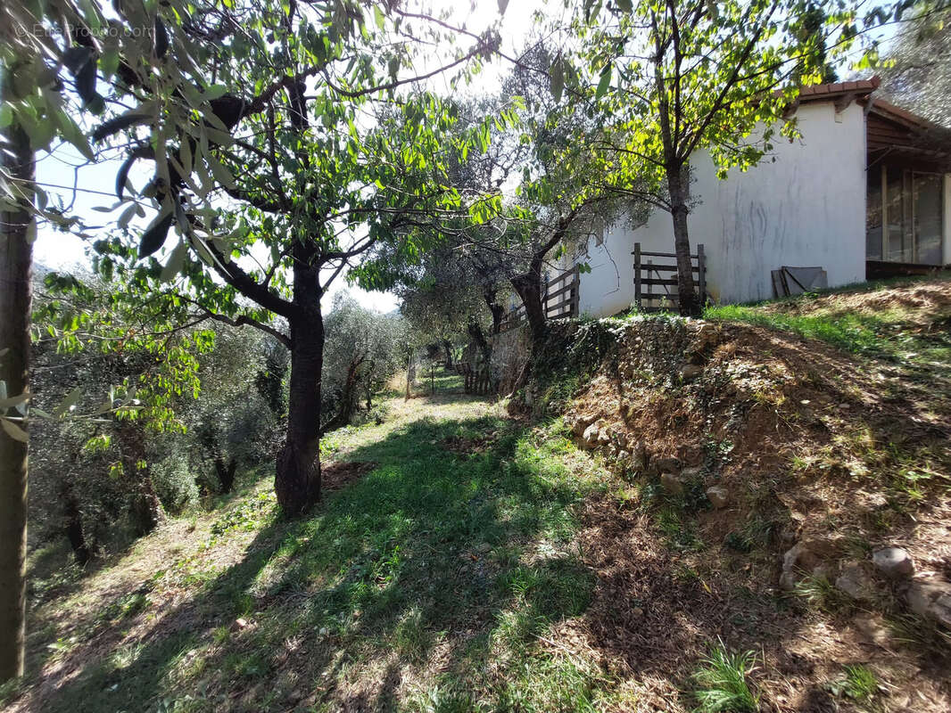 Maison à BREIL-SUR-ROYA