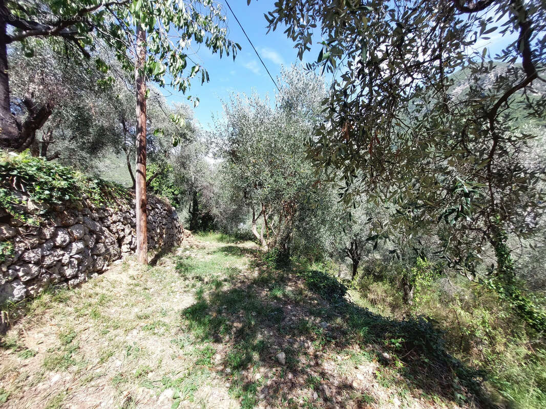 Maison à BREIL-SUR-ROYA
