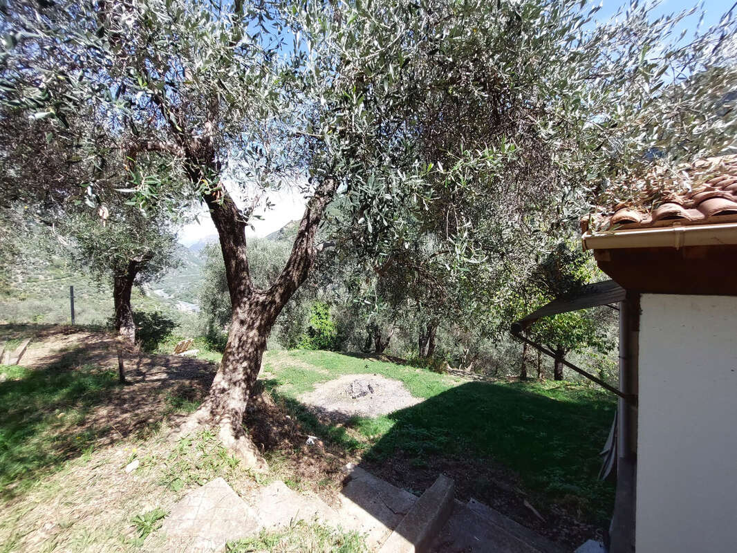 Maison à BREIL-SUR-ROYA