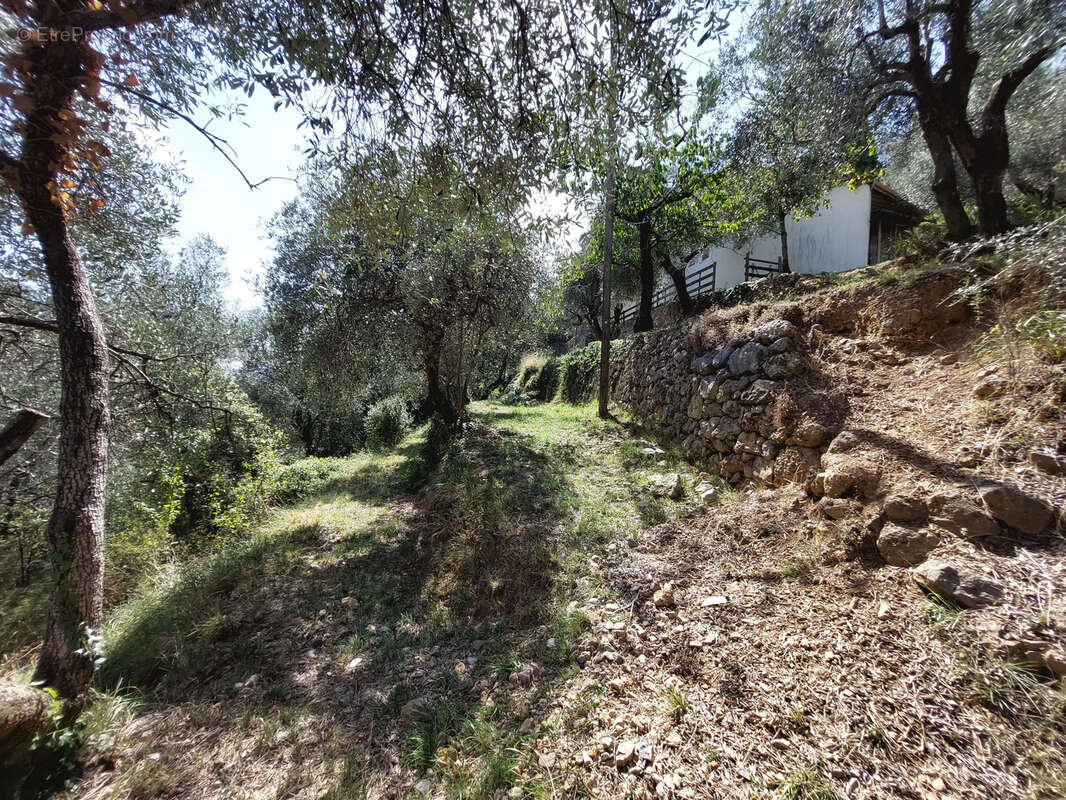 Maison à BREIL-SUR-ROYA