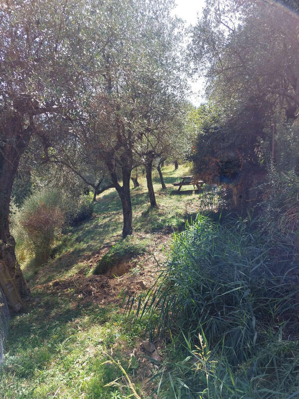 Maison à BREIL-SUR-ROYA