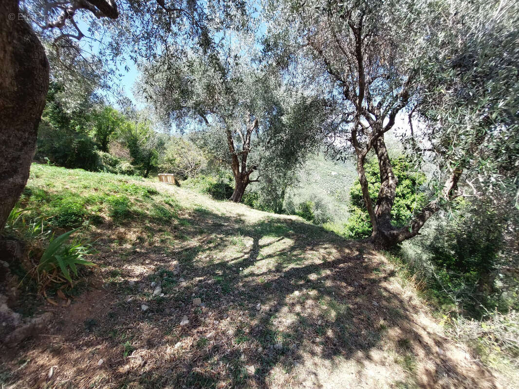 Maison à BREIL-SUR-ROYA