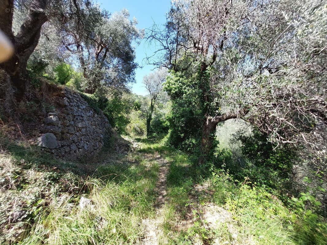 Maison à BREIL-SUR-ROYA