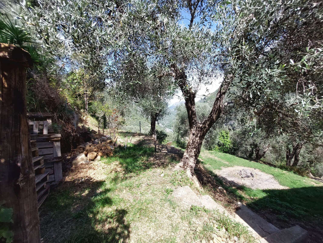 Maison à BREIL-SUR-ROYA