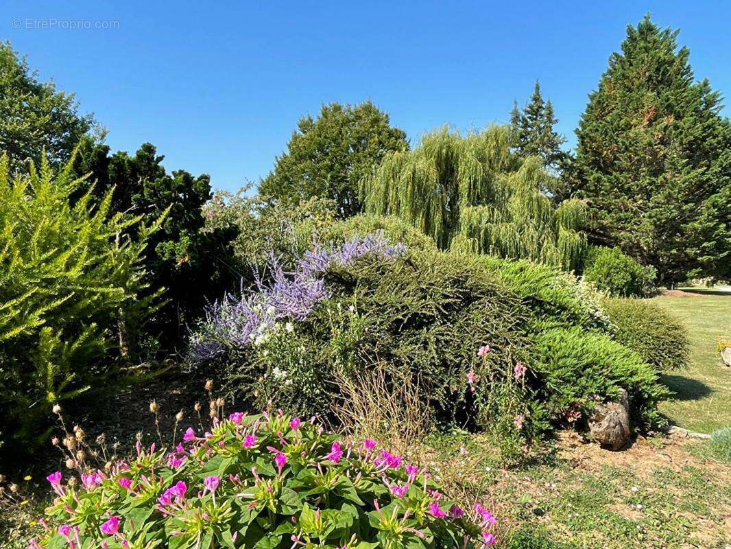 Maison à SAUVETERRE-DE-GUYENNE