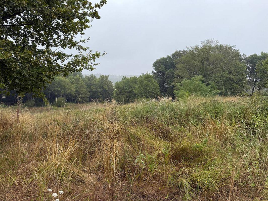 Terrain à SAINT-MARTIN-DE-LAYE