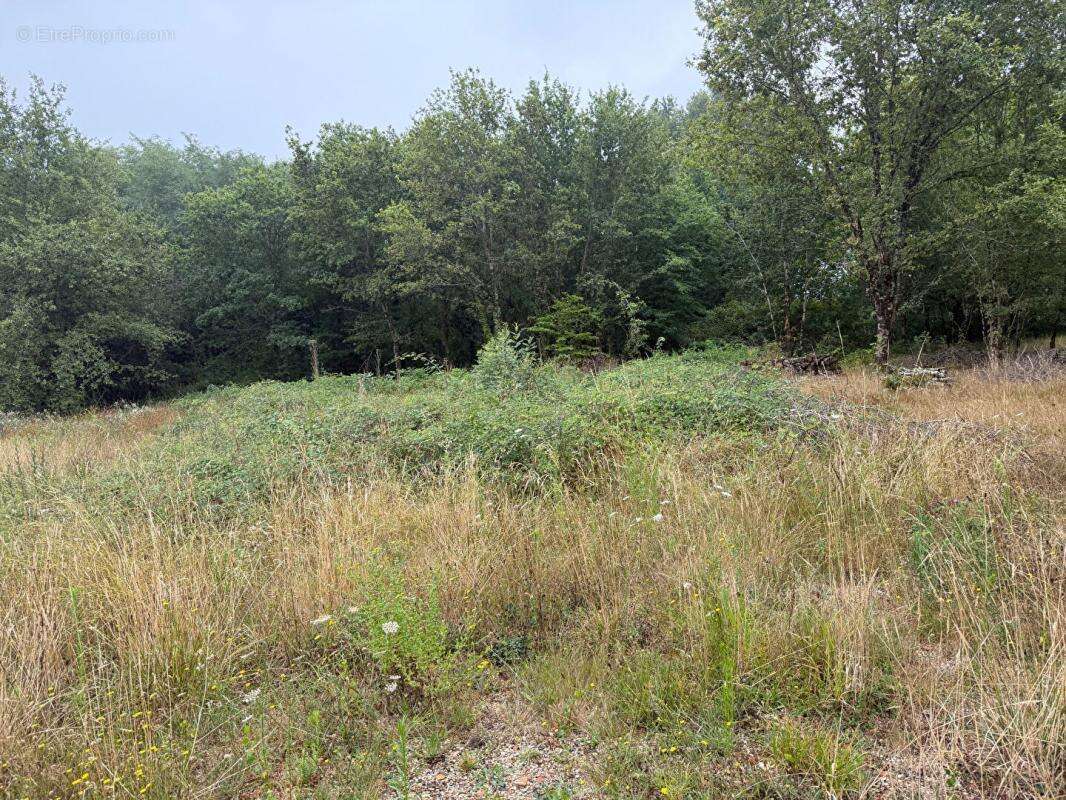 Terrain à SAINT-MARTIN-DE-LAYE