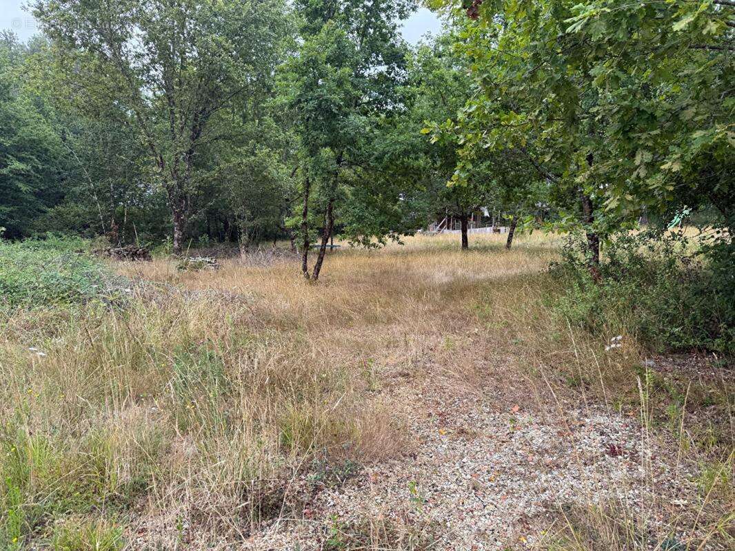 Terrain à SAINT-MARTIN-DE-LAYE