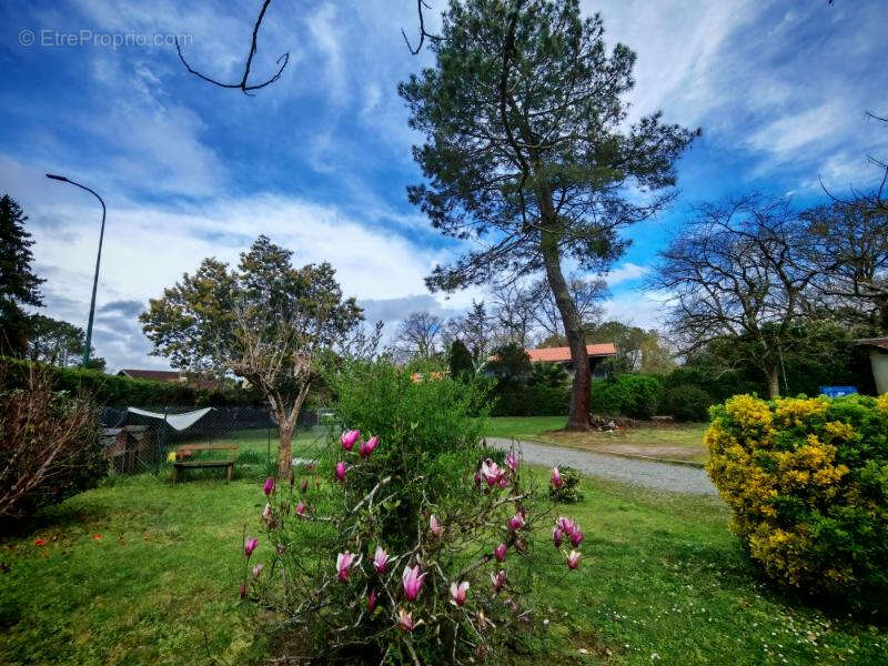 Maison à SAUGNAC-ET-CAMBRAN