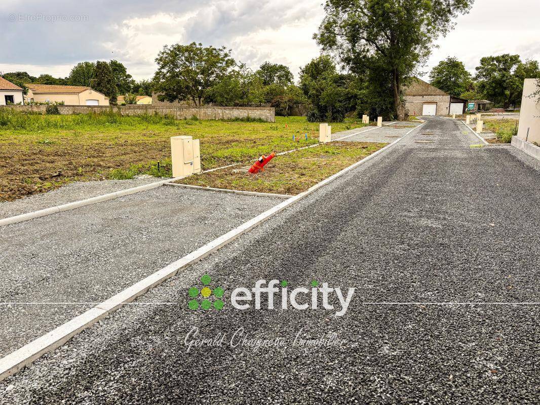 Terrain à SAINT-COLOMBAN