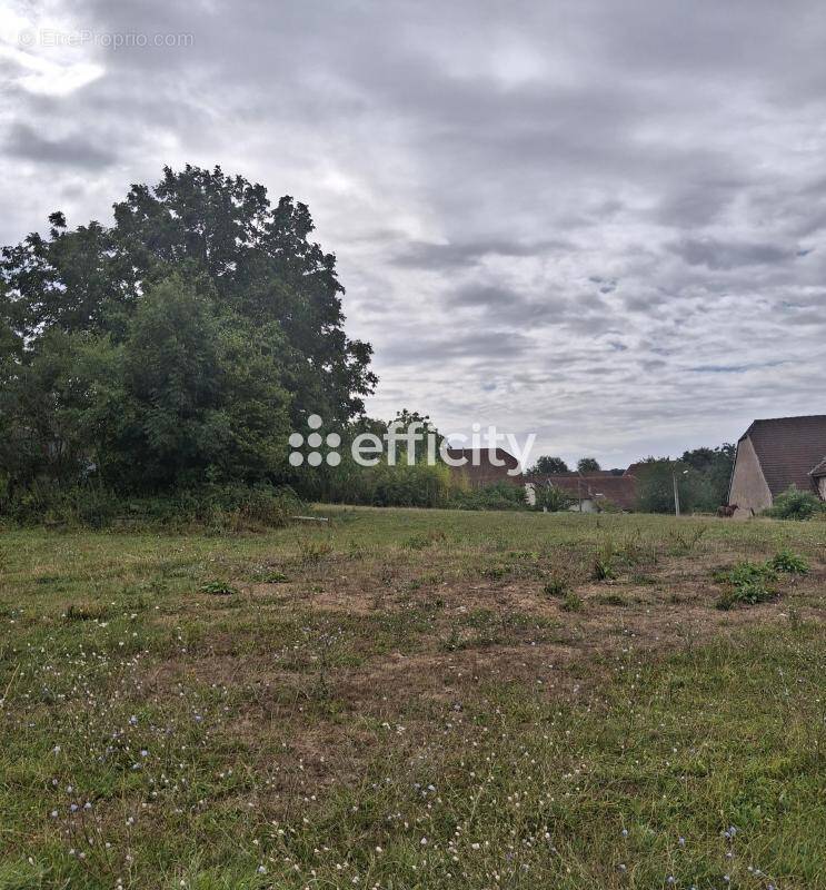 Terrain à COGNIERES
