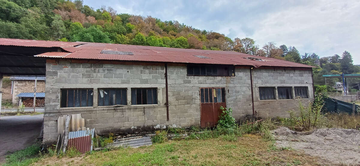 Autre à SAINT-CHAMANT