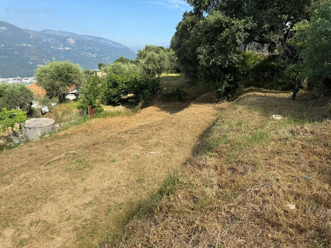 Terrain à CASTAGNIERS