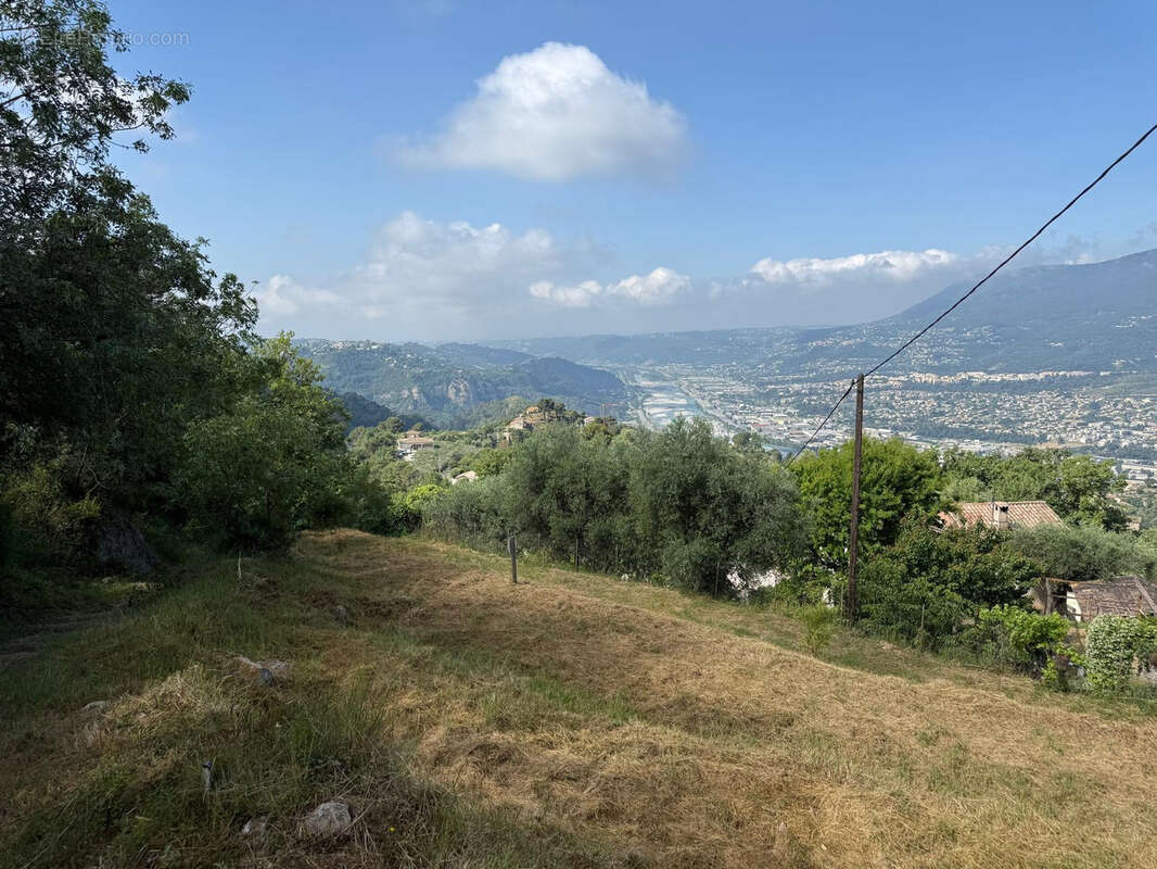 Terrain à CASTAGNIERS