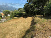 Terrain à CASTAGNIERS