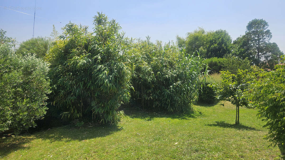 Maison à LA BARRE-DE-MONTS