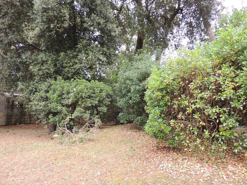 Maison à SAINT-GEORGES-DE-DIDONNE