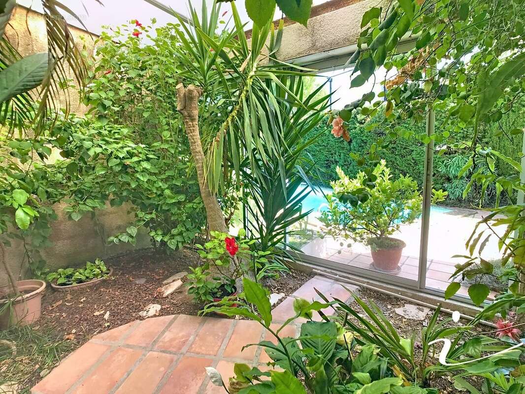 Maison à MONTPELLIER