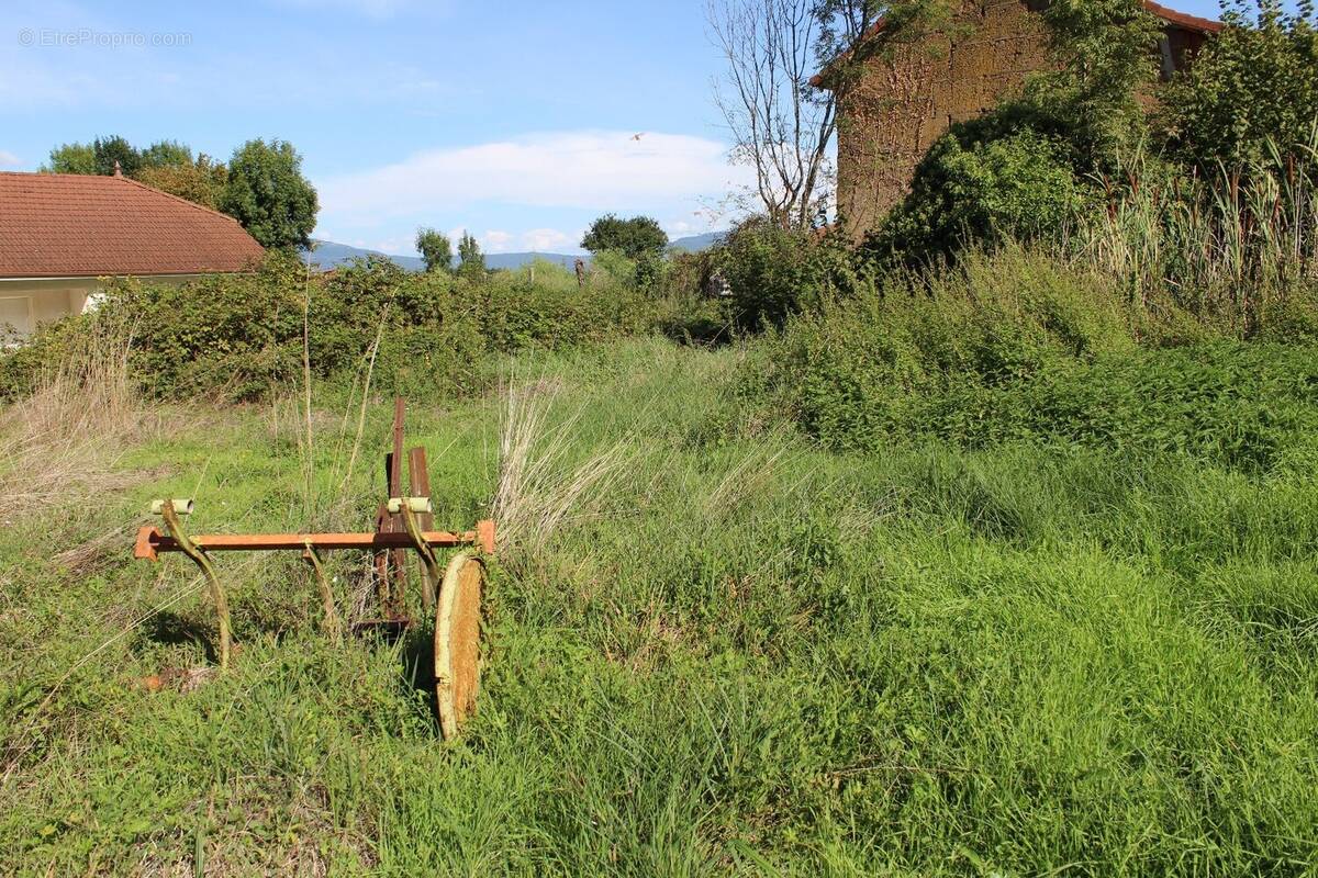 Terrain à ARANDON