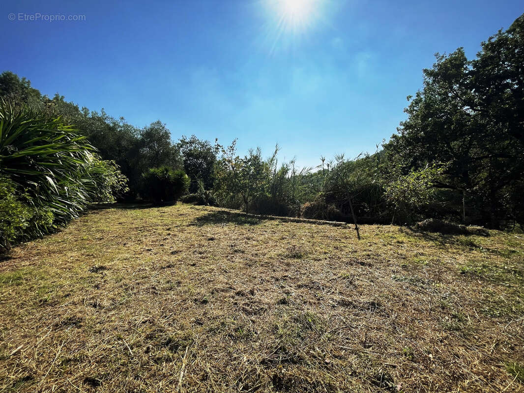 Terrain à SAINT-PAUL