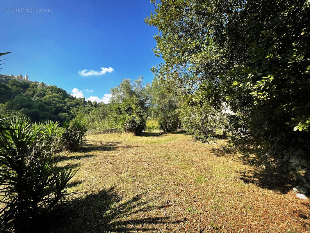 Terrain à SAINT-PAUL