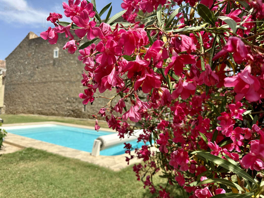 Maison à MONTREDON-DES-CORBIERES