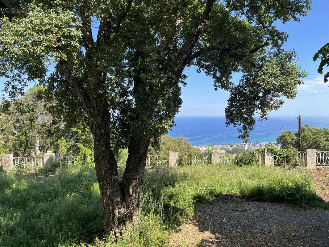 Terrain à SAN-MARTINO-DI-LOTA
